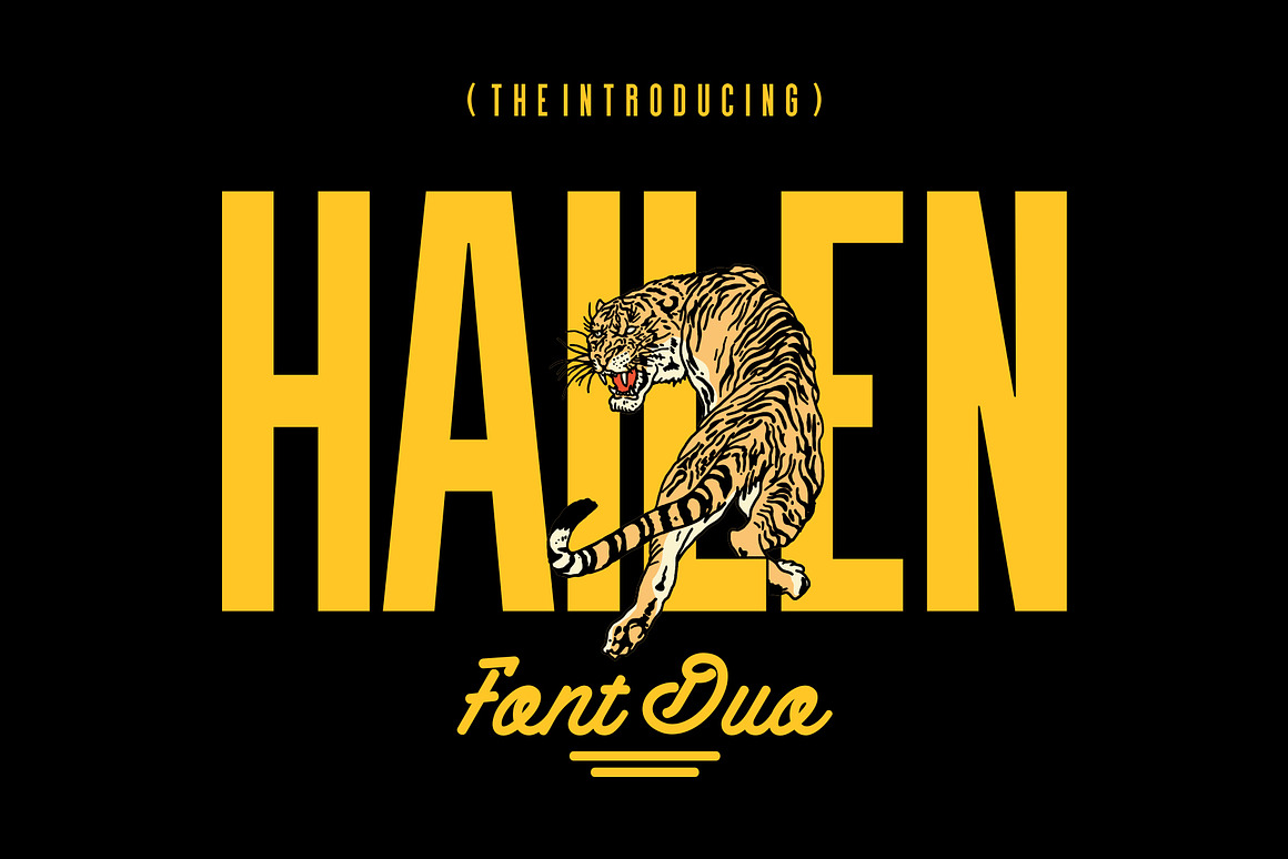 Hailen | Font Duo Free Download