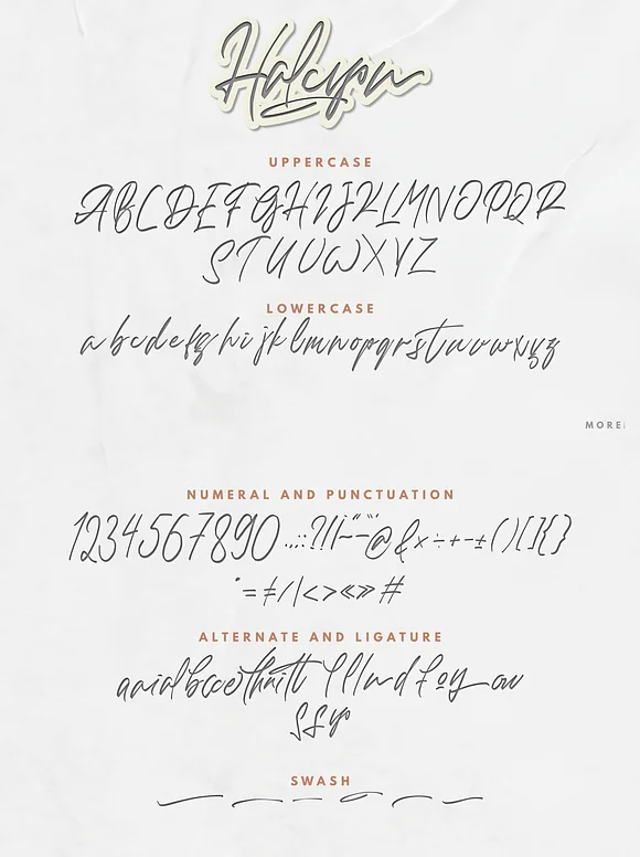 Halcy Script Font Font