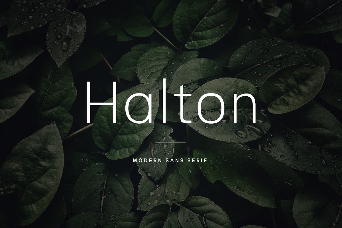 Halton - Modern Sans Serif Typeface Free Download Free Download