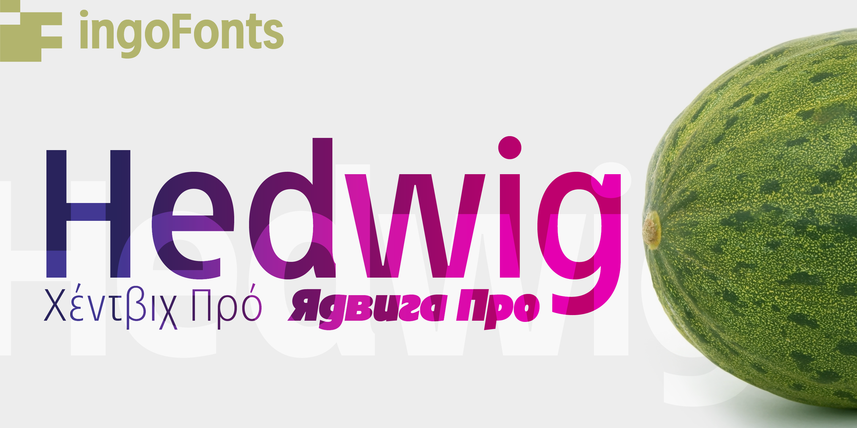 Hedwig Pro Free Download Free Download