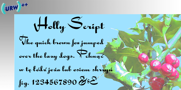 Holly Script Free Download Free Download