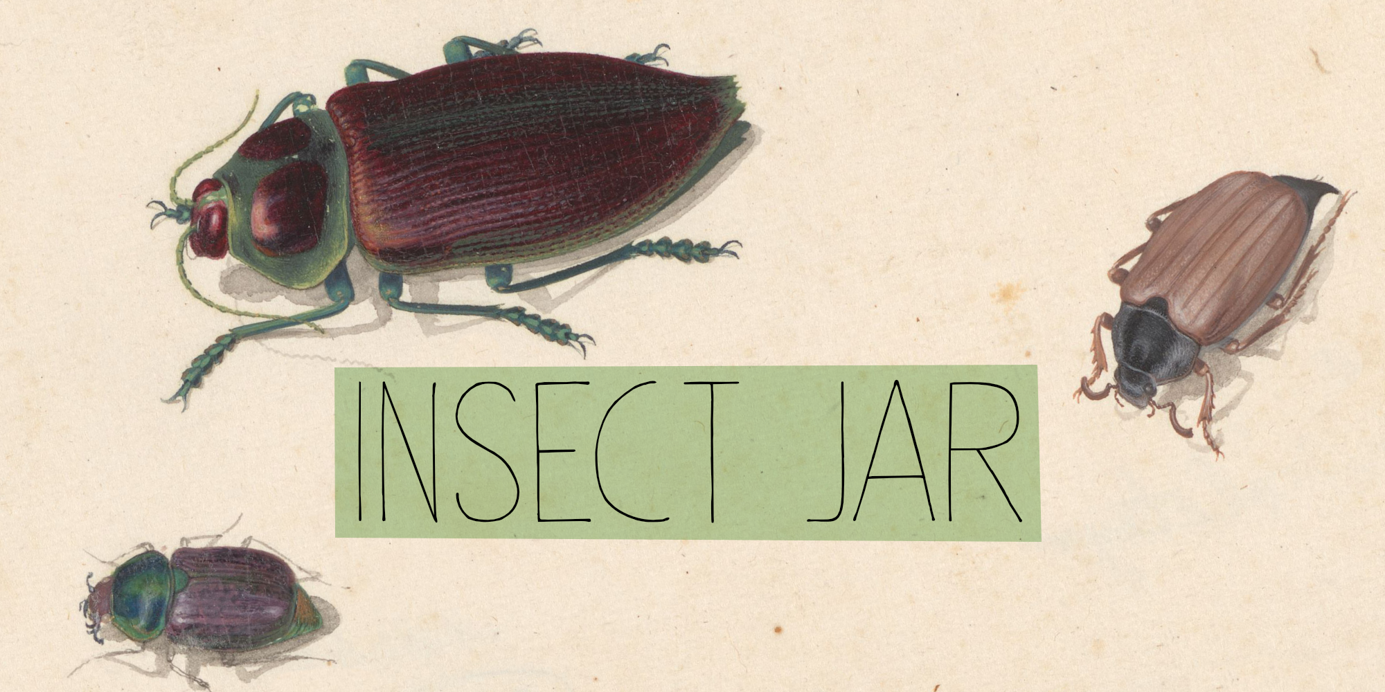 Insect Jar Free Download Free Download