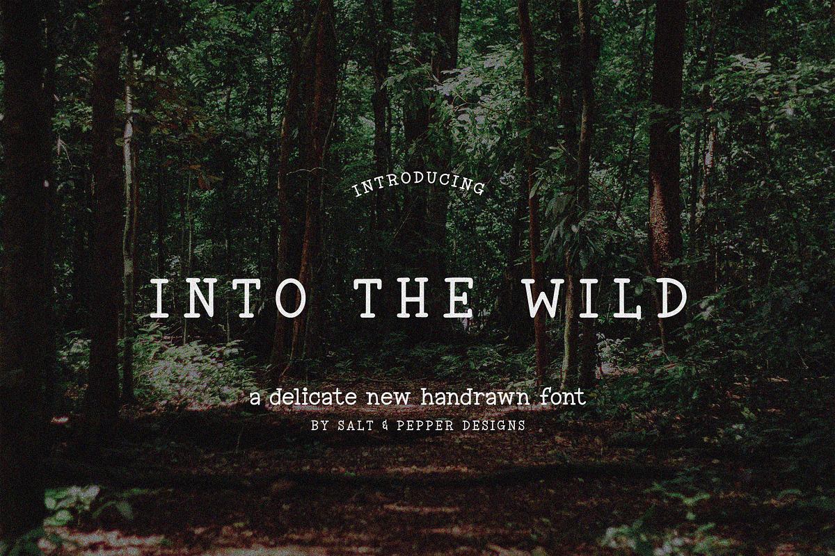 Into the Wild Font Free Download Free Download