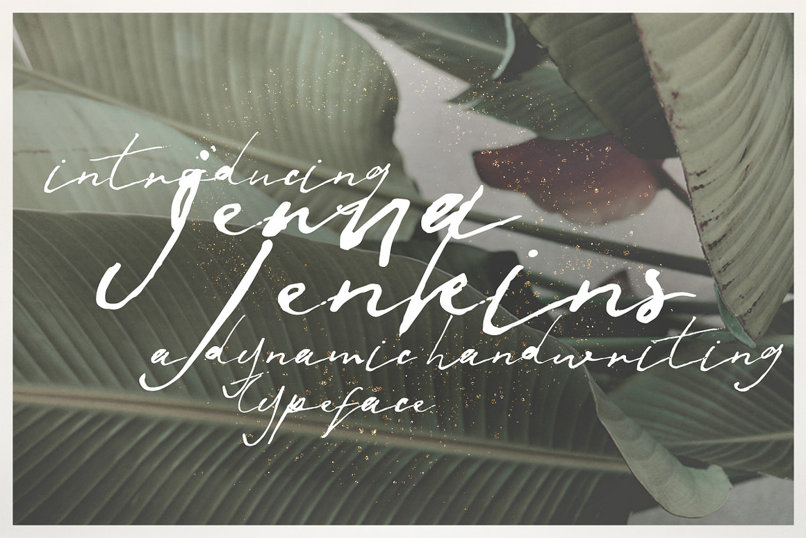 Jenna Jenkins Script Font Free Download