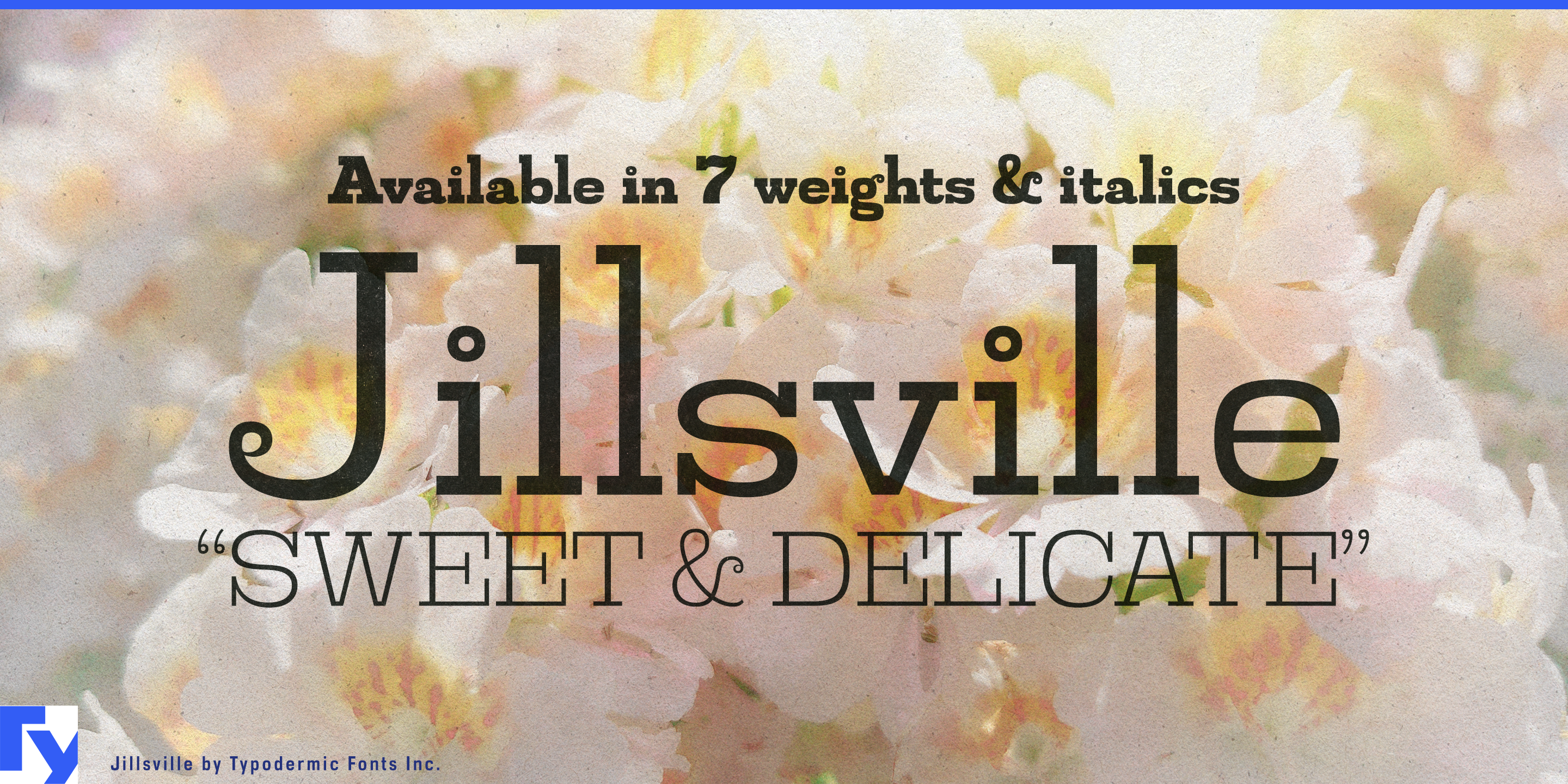 Jillsville Free Download Free Download