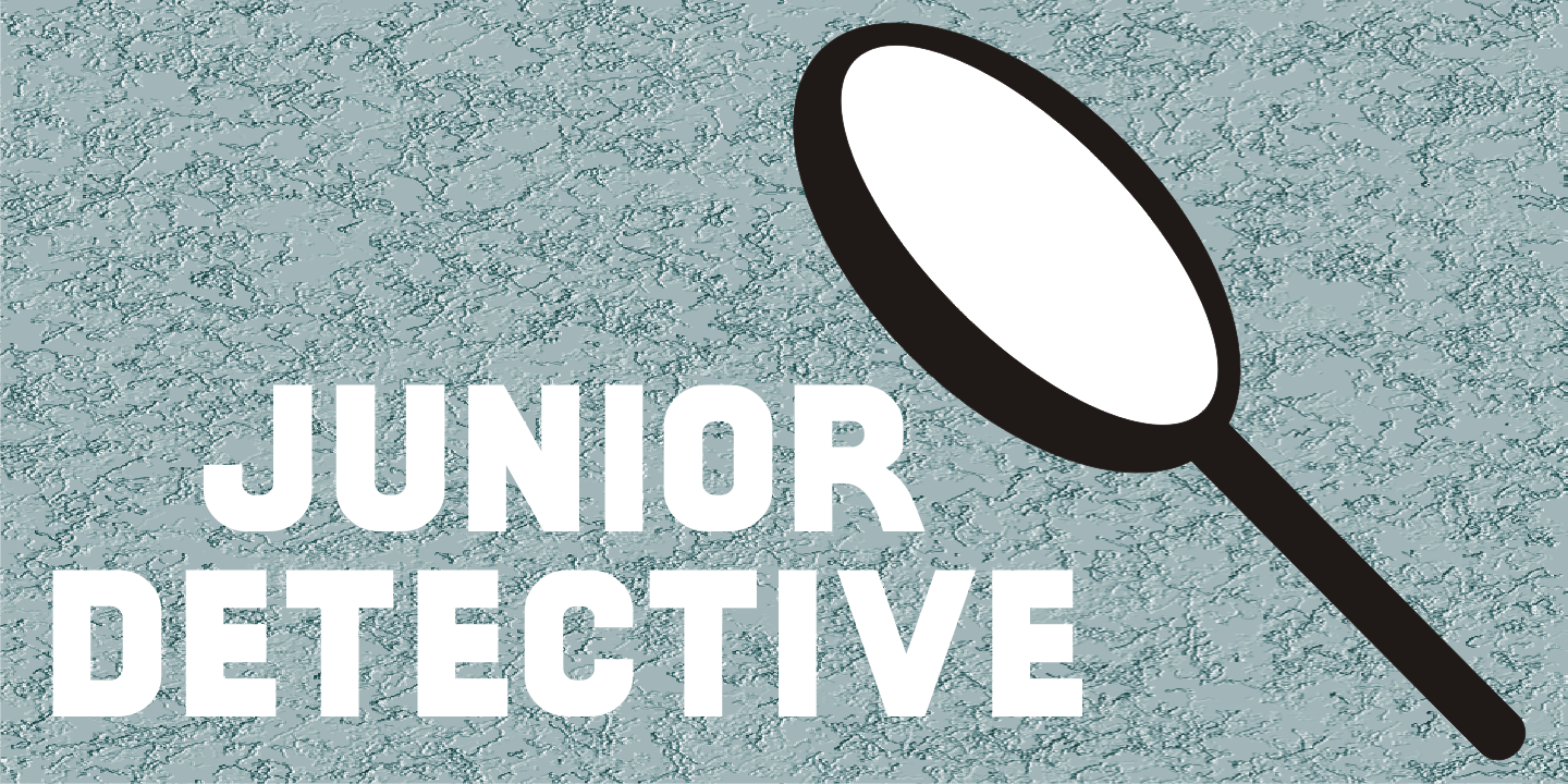 Junior Detective JNL Free Download Free Download