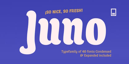 Juno Font Free Download