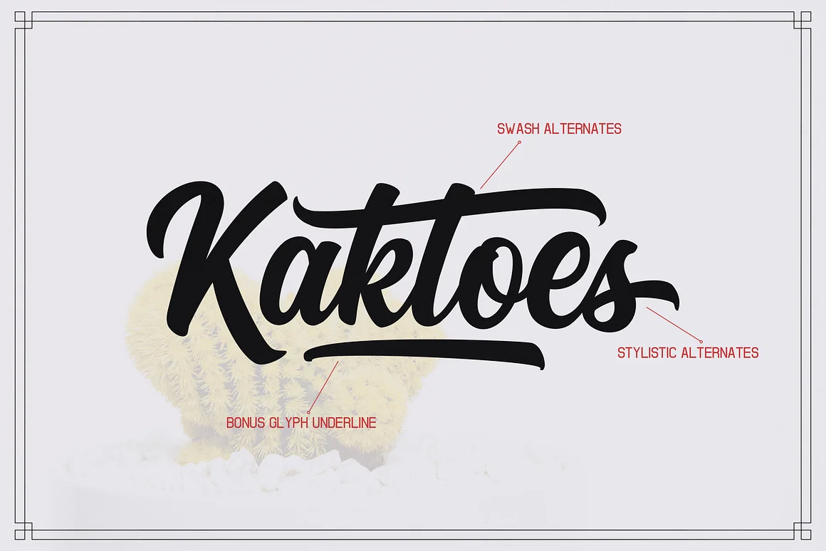 Kaktoes Script Font