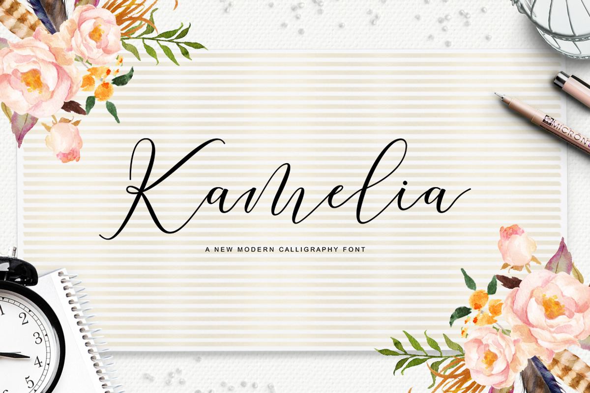 Kamelia Script Free Download Free Download