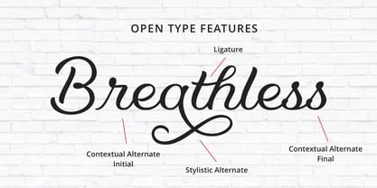 Kamila Font