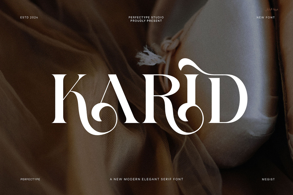 Karid Elegant Serif Font Free Download