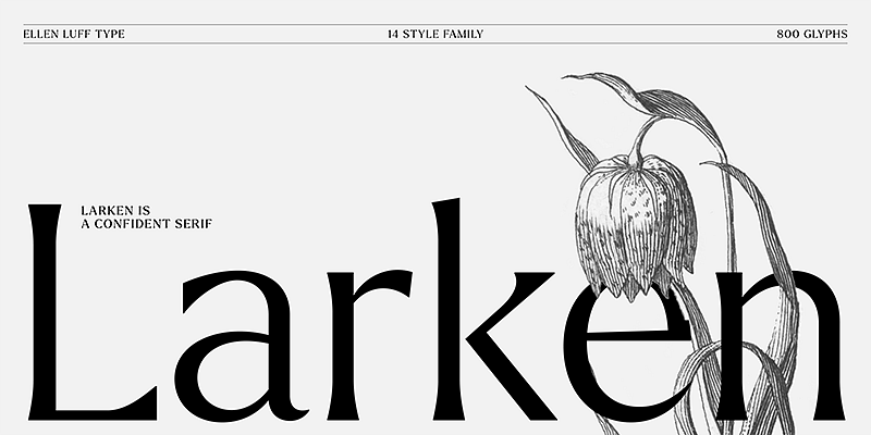 Larken Font Free Download