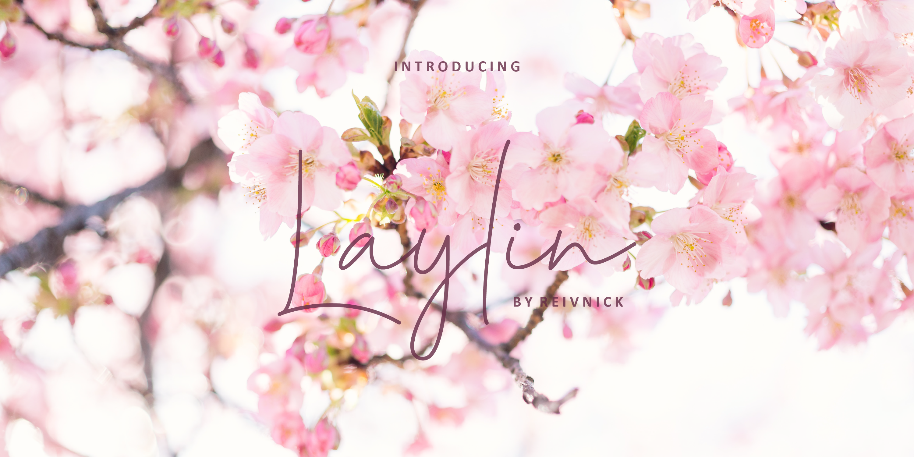 Laylin Free Download Free Download