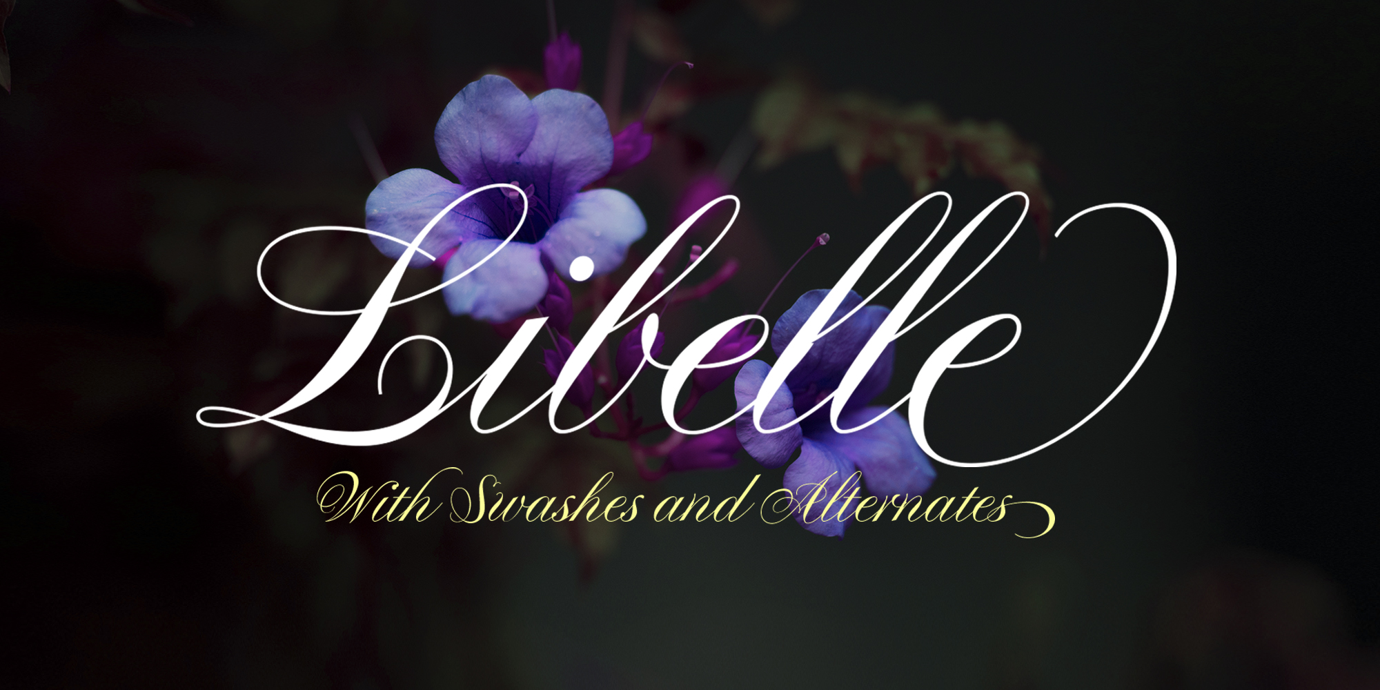 Libelle Free Download Free Download