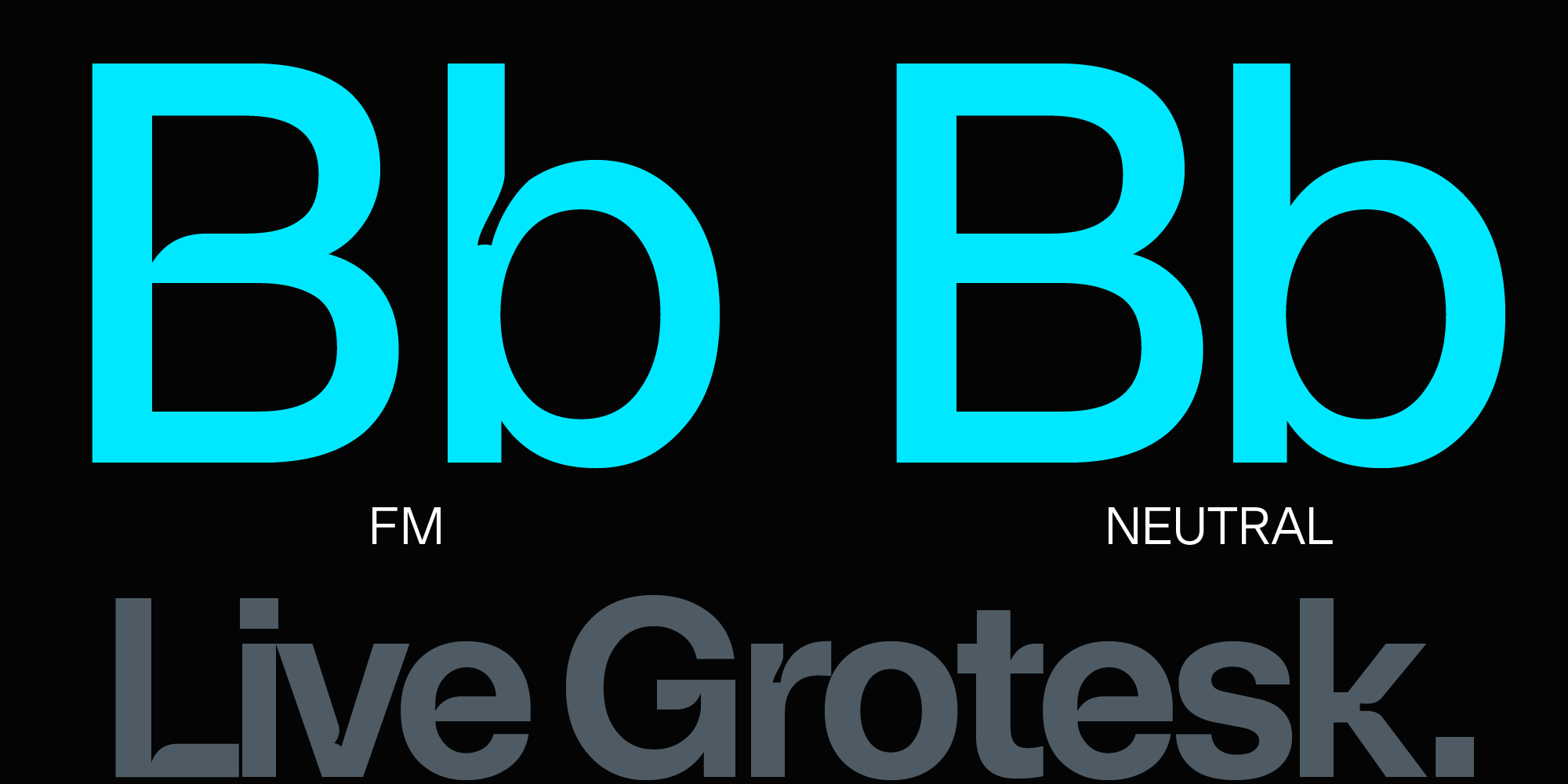 Live Grotesk Free Download Free Download