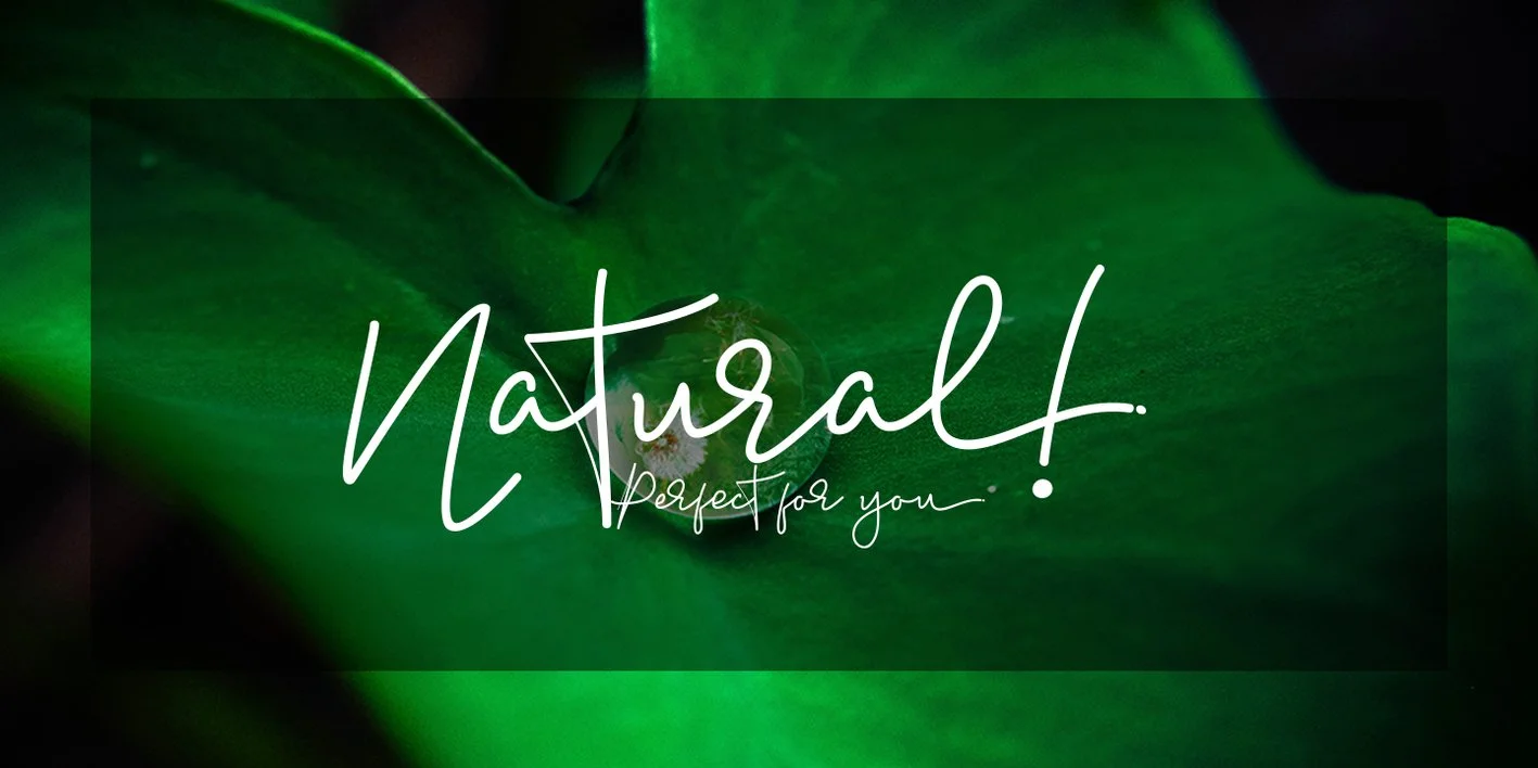 Madelon Script Font