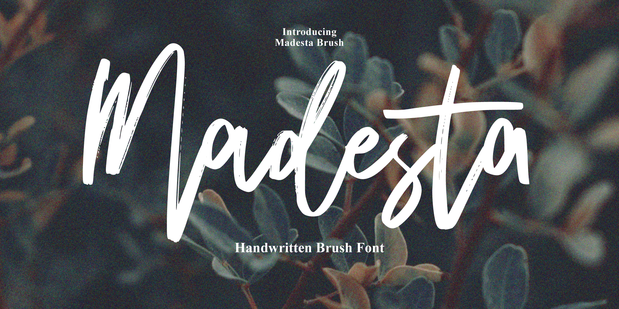 Madesta Brush Free Download Free Download