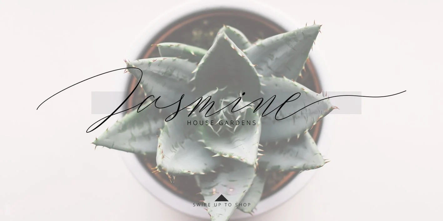Magarella Script Font
