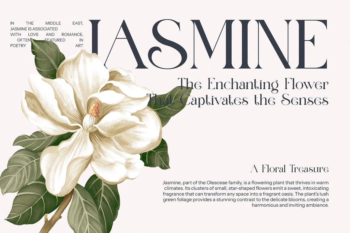 Maglift Elegant Serif Font