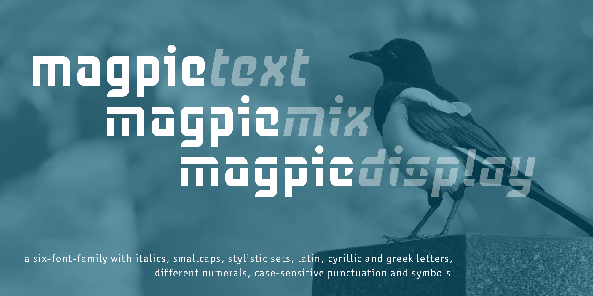 Magpie Free Download Free Download