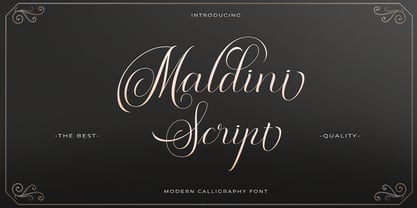 Maldini Script Font Free Download