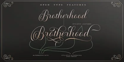 Maldini Script Font
