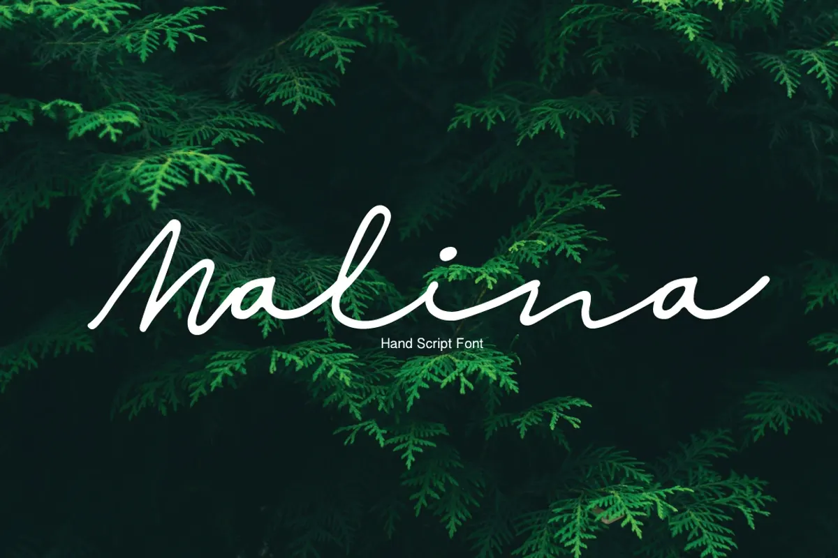 Malina | Script Font Free Download Free Download