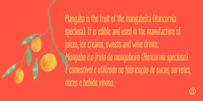 Mangaba Pro Font Free Download