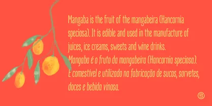 Mangaba Pro Font