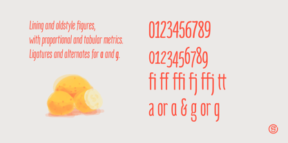 Mangaba Pro Font Free Download