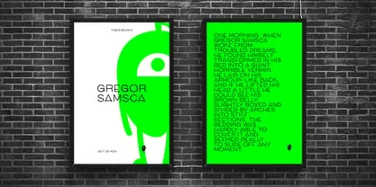 Mango Grotesque Font