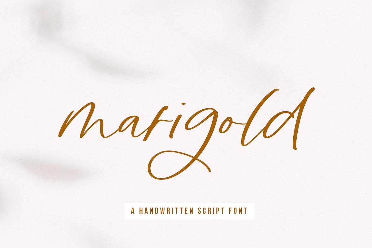 Marigold | Handwritten Script Font Free Download Free Download