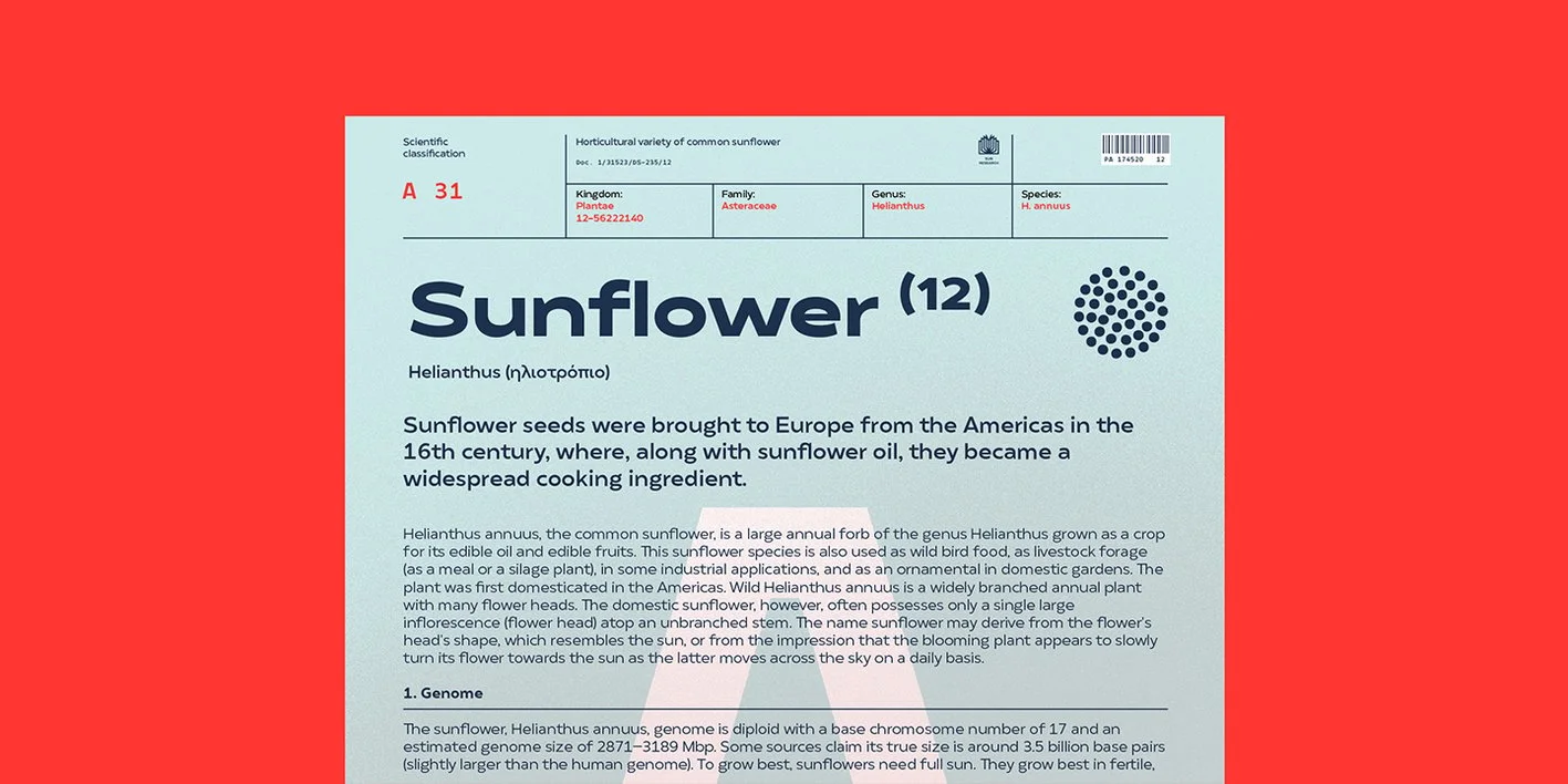 Matahari Sans Free Font Font