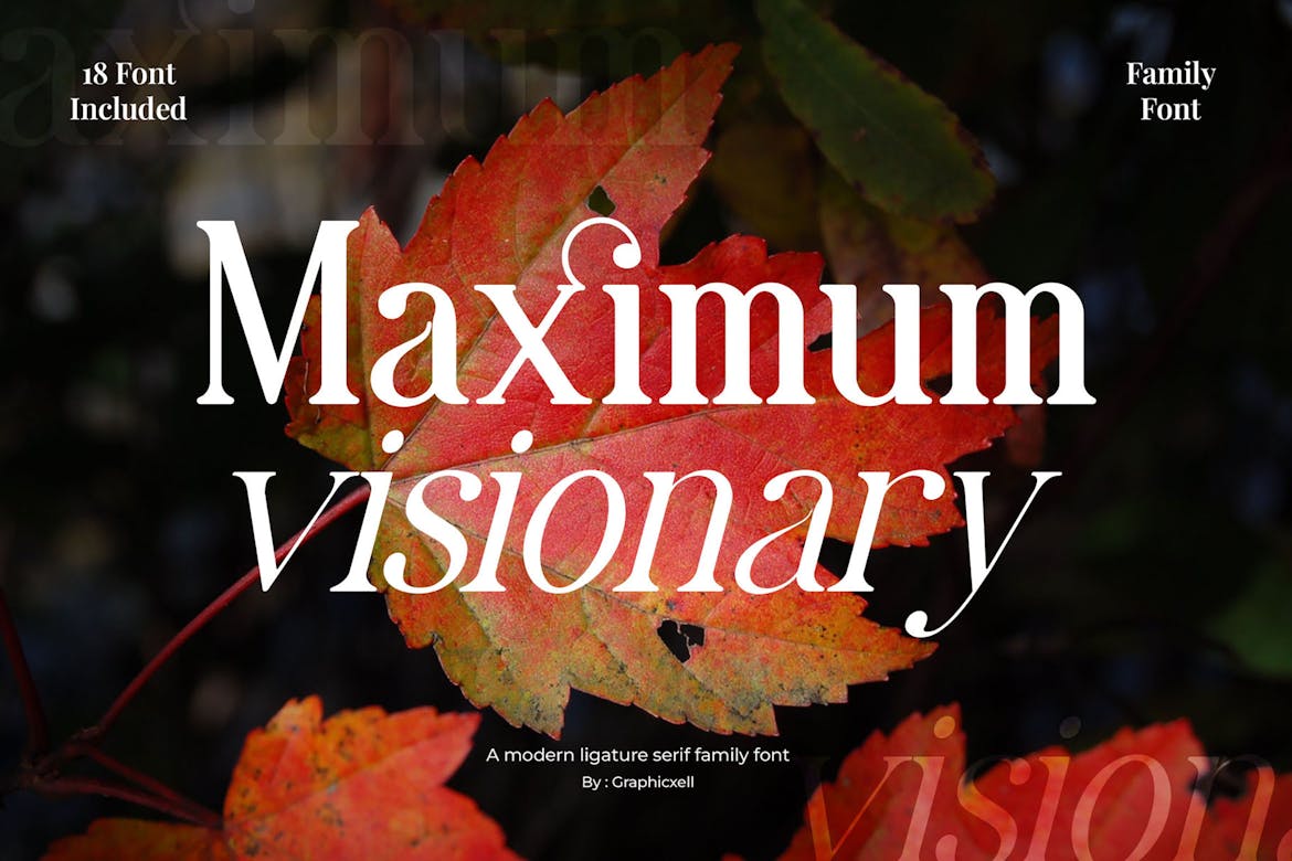 Maximum Visionary Family Elegant Serif Font Free Download