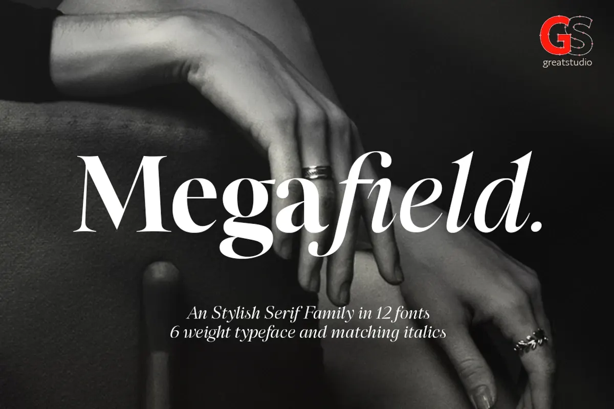 Megafield Serif Family | 12 Fonts Free Download Free Download