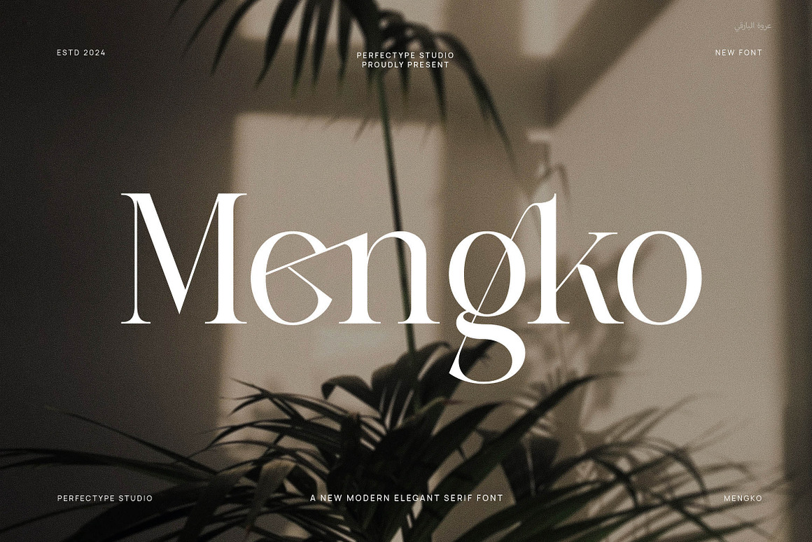 Mengko Elegant Serif Font Free Download