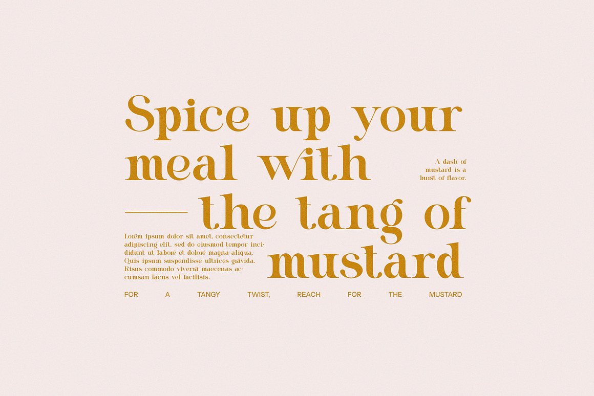 Meragi Modern Serif Font Free Download