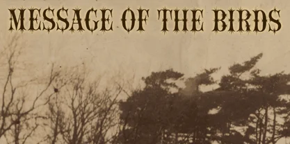 Message Of The Birds Font