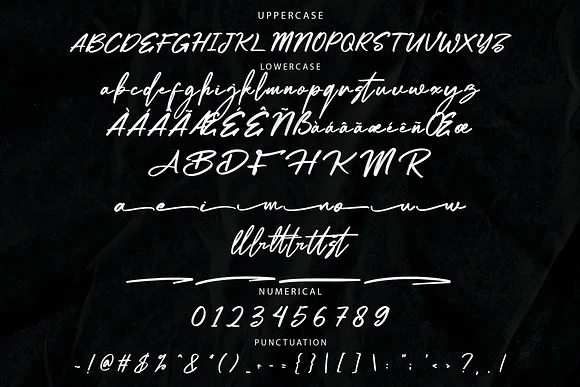 Metadiva Brush Script Font