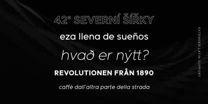 Meticula Font