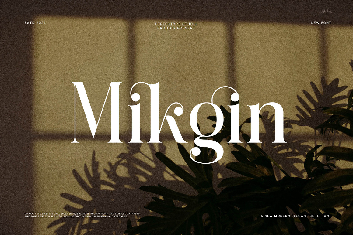 Mikgin Elegant Ligature Serif Font Free Download