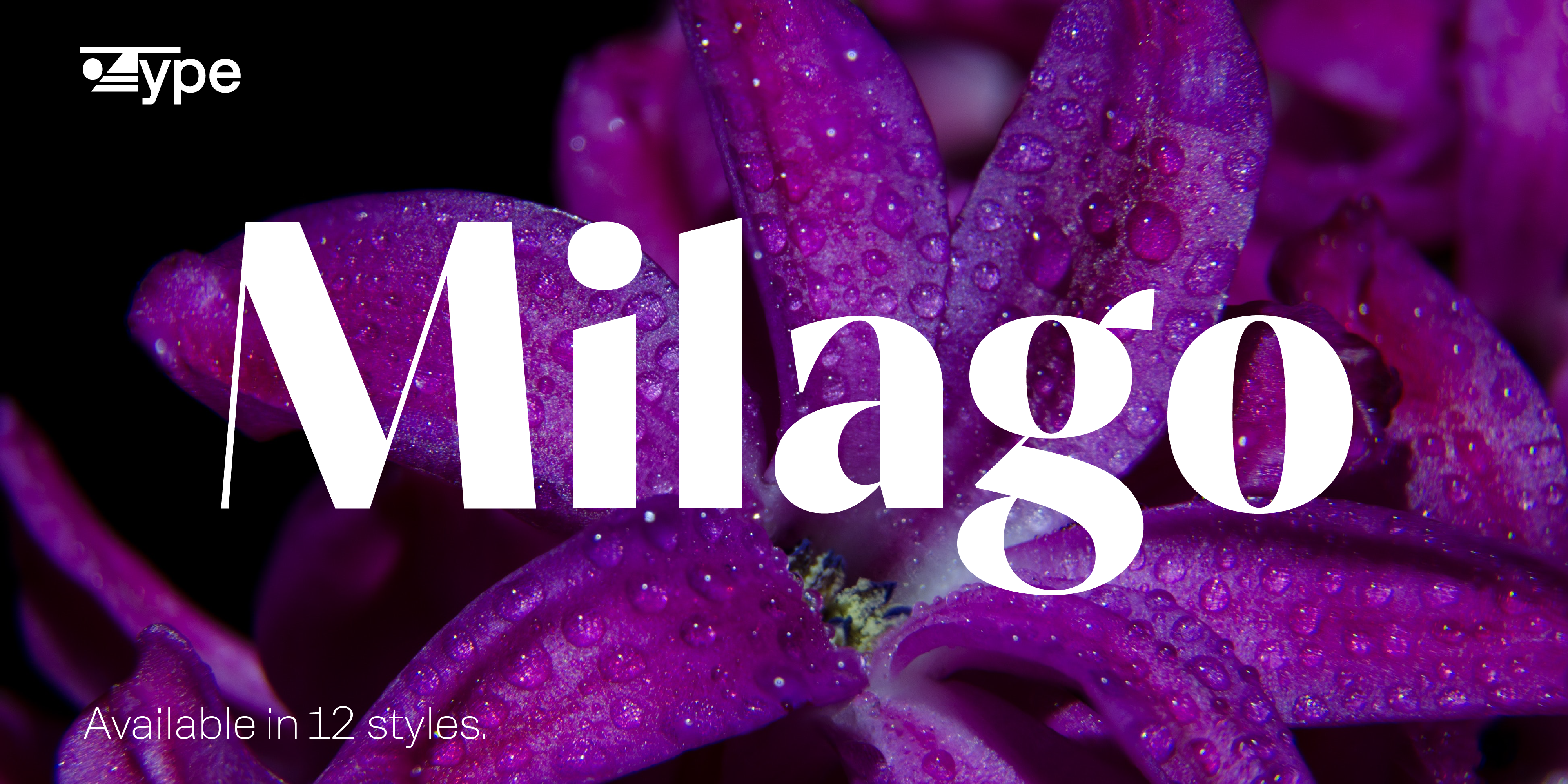 Milago Free Download Free Download