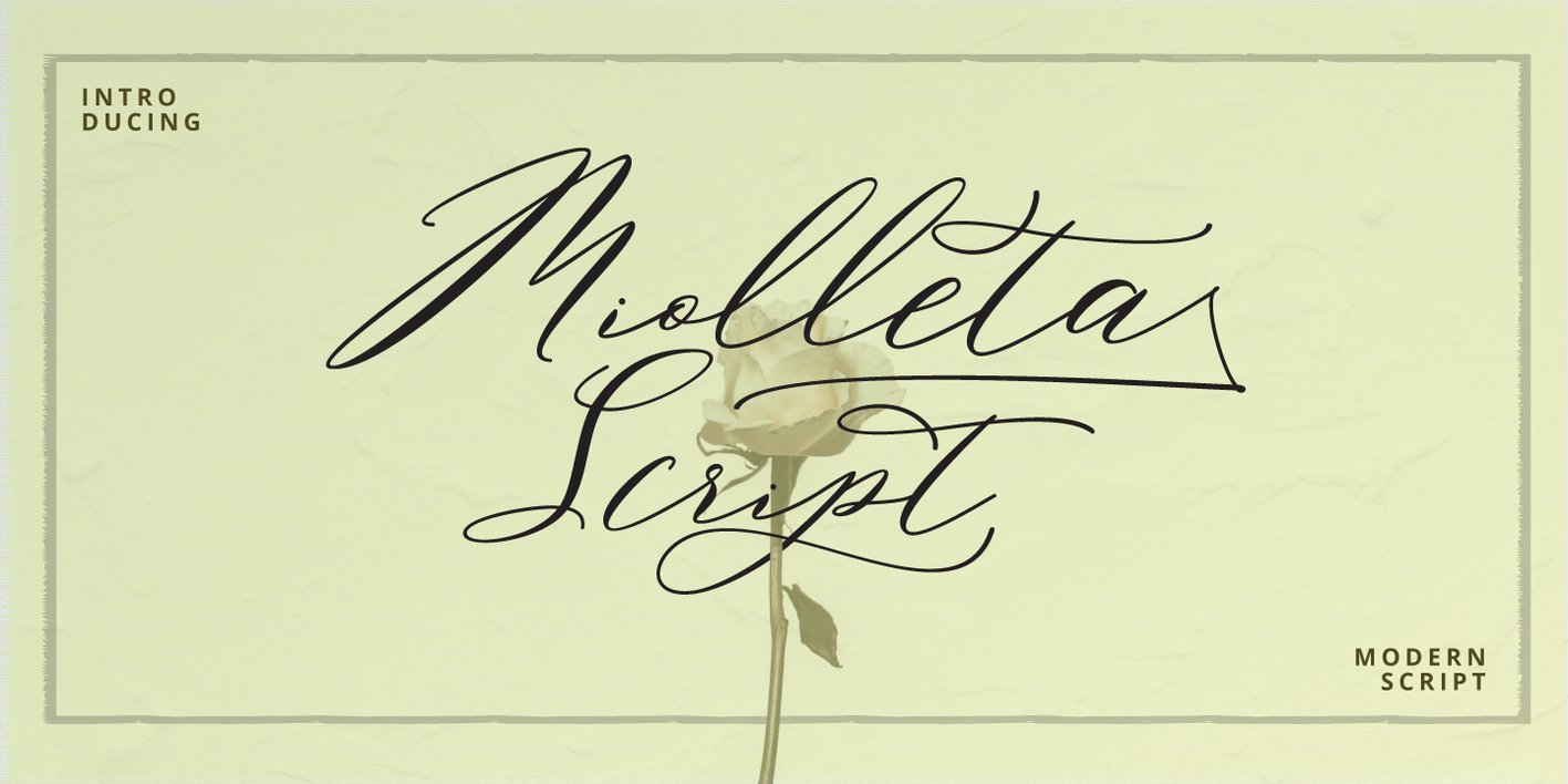 Miolleta Script Font Free Download