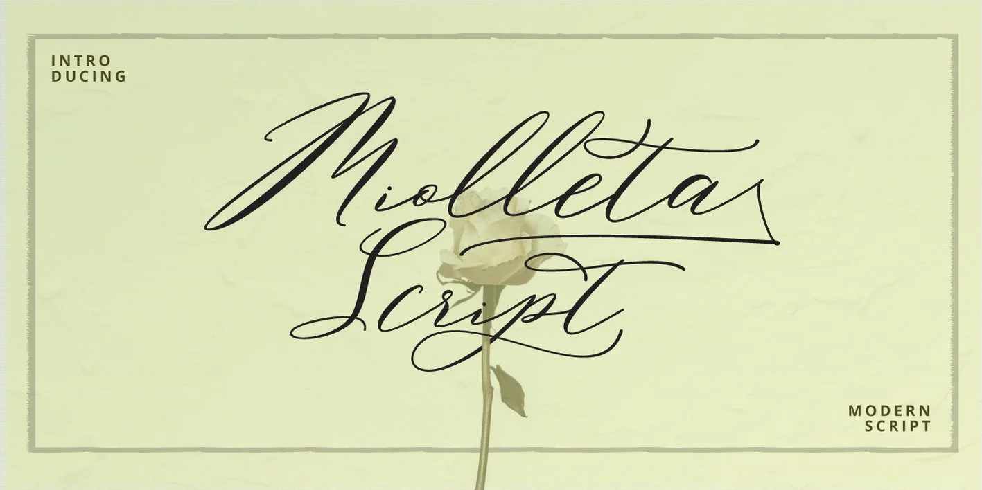 Miolleta Script Font