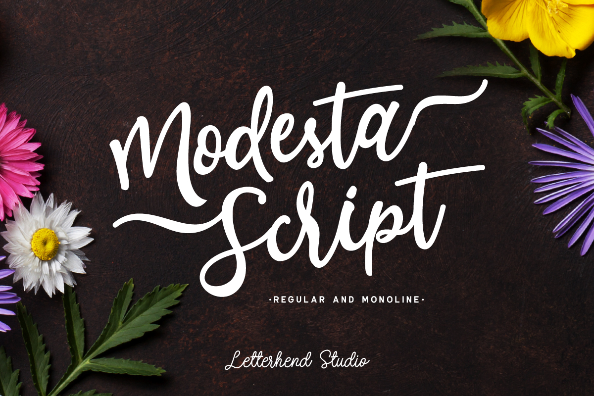 Modesta Script Font Duo Free Download