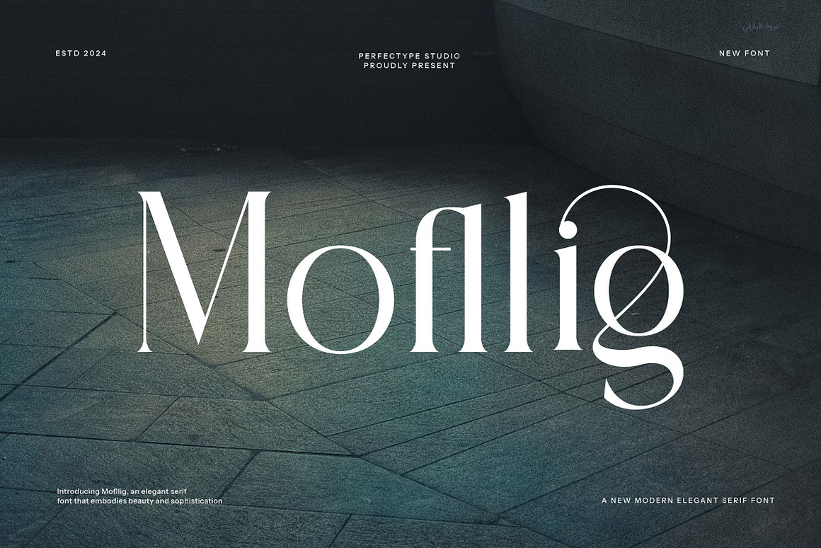 Mofllig Modern Ligature Serif Font Free Download