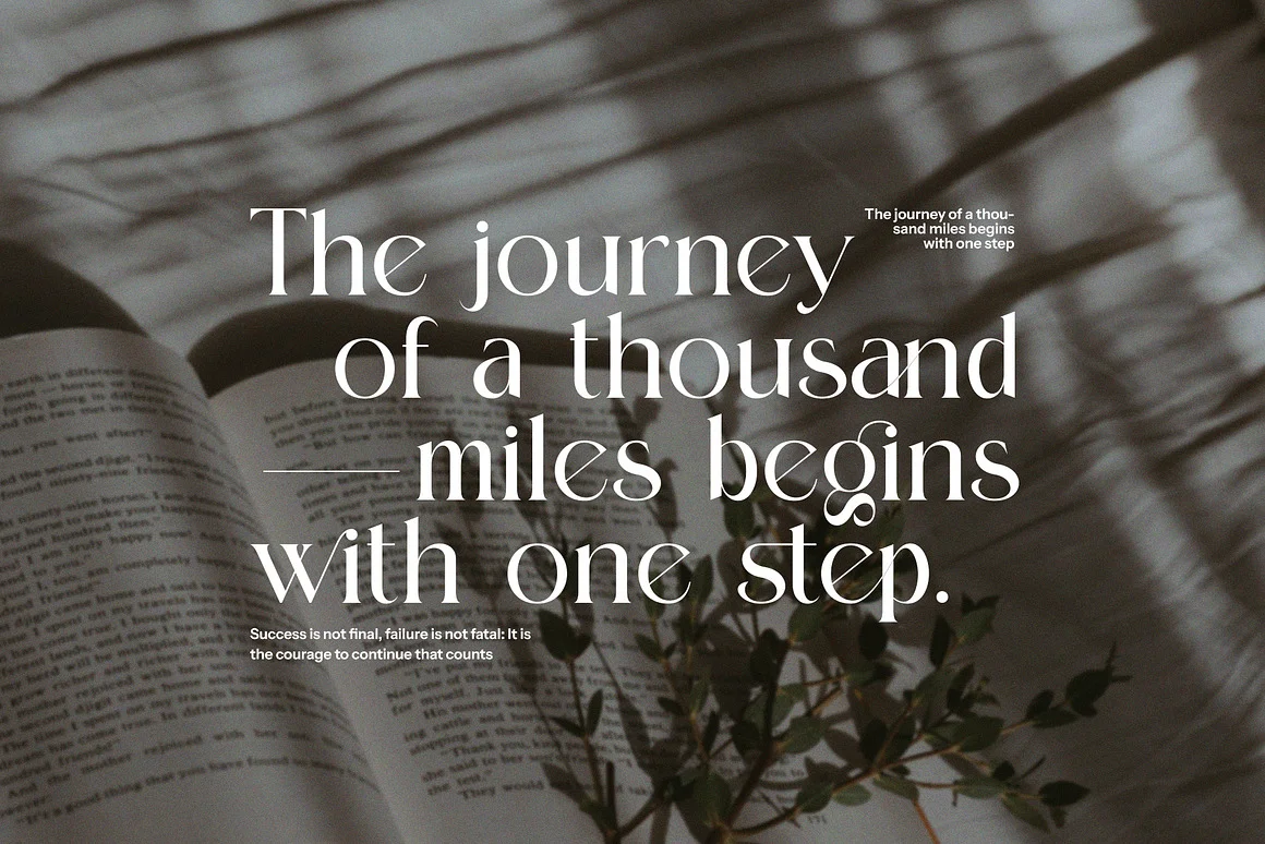Moling Elegant Serif Font