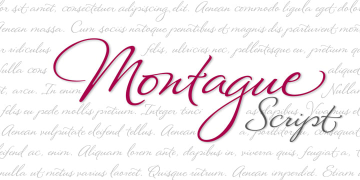 Montague Script Free Download Free Download