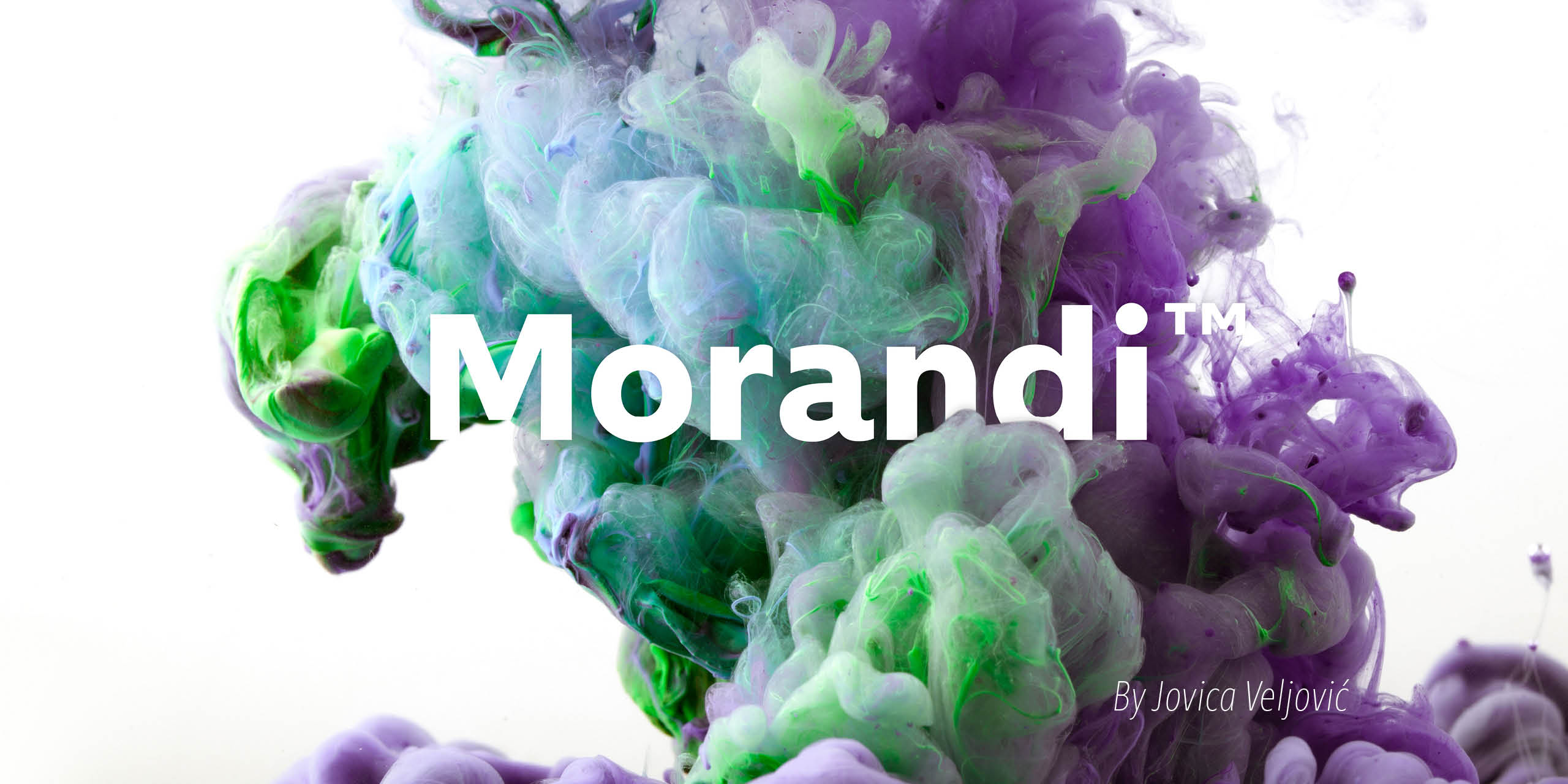 Morandi Free Download Free Download