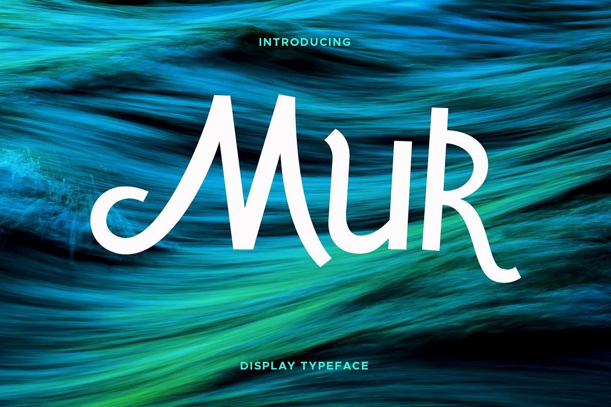 Mur Typeface Free Download Free Download